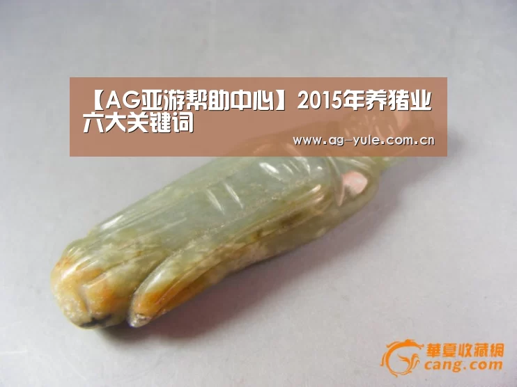 AG亚游常见问题