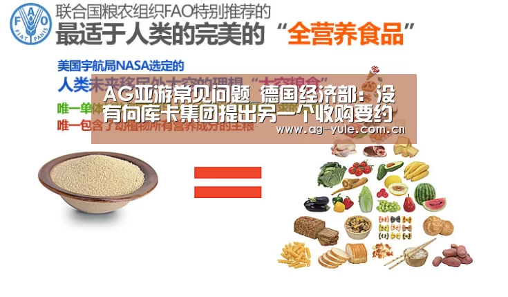 AG亚游常见问题_德国经济部:没有向库卡集团提出另一个收购要约(图2) AG亚游