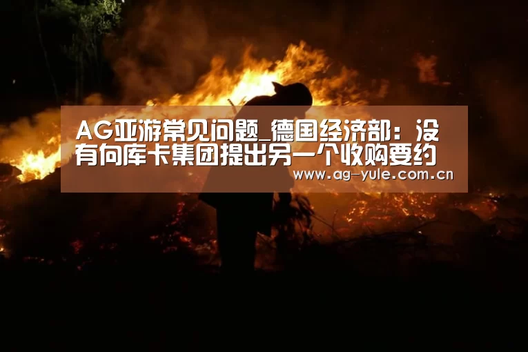 AG亚游常见问题_德国经济部:没有向库卡集团提出另一个收购要约(图4) AG亚游