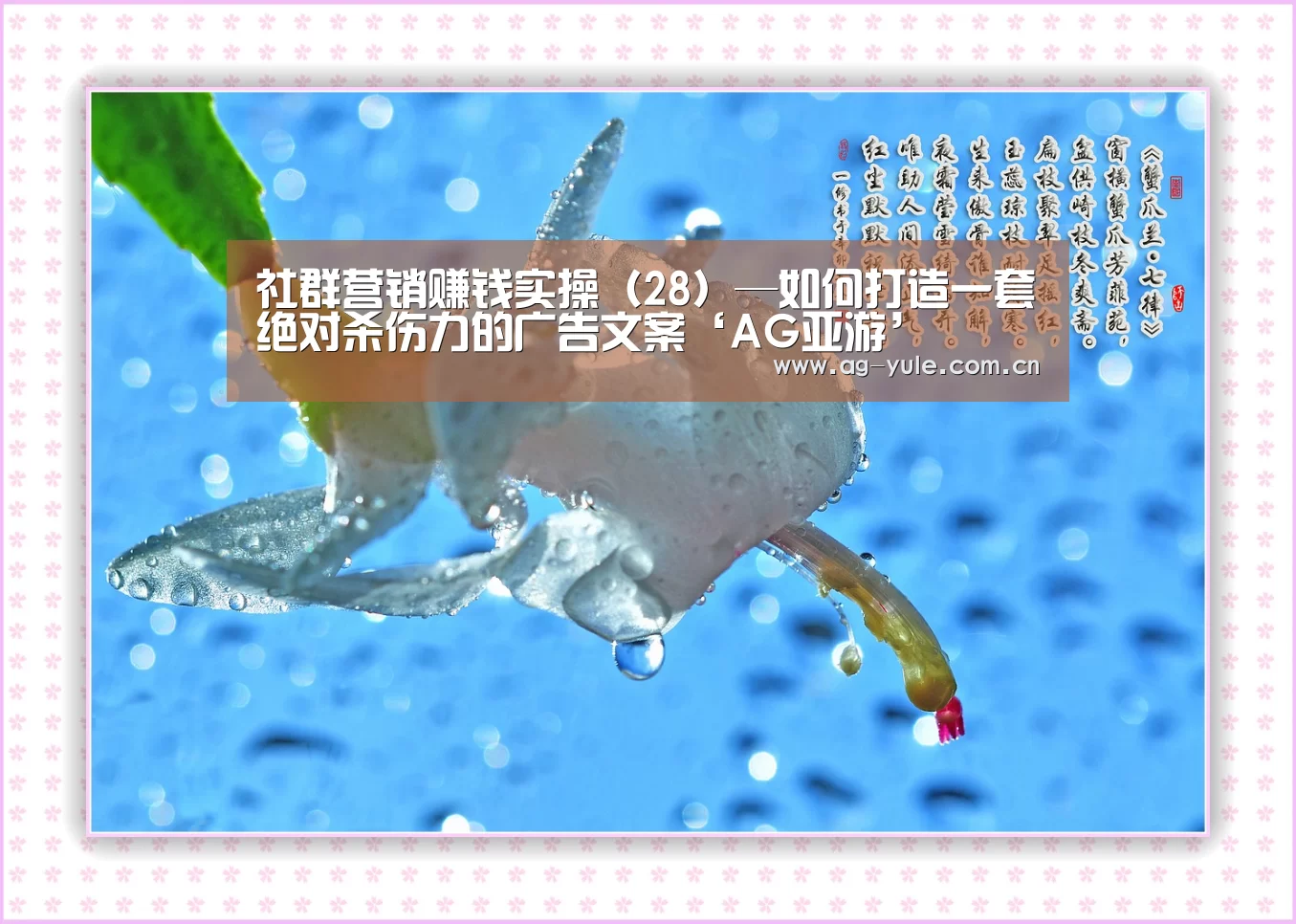 社群营销赚钱实操（28）—如何打造一套绝对杀伤力的广告文案‘AG亚游’
