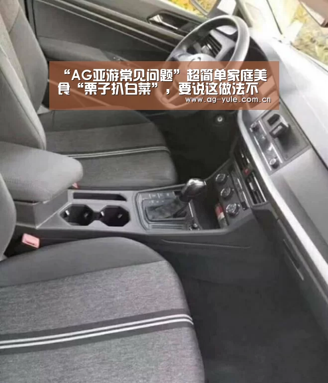 AG亚游注册登录