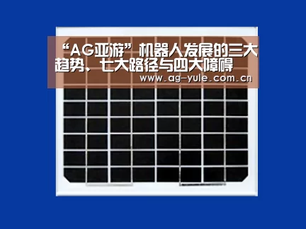 “AG亚游”机器人发展的三大趋势、七大路径与四大障碍(图2) AG亚游帮助中心