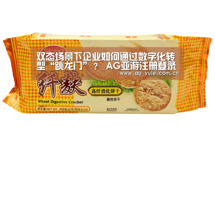 双态场景下企业如何通过数字化转型“跳龙门”?_AG亚游注册登录(图2) AG亚游常见问题