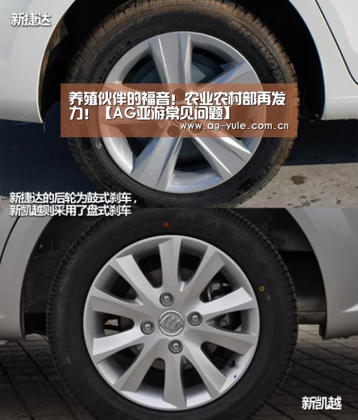 养殖伙伴的福音!农业农村部再发力!【AG亚游常见问题】(图4) AG亚游常见问题